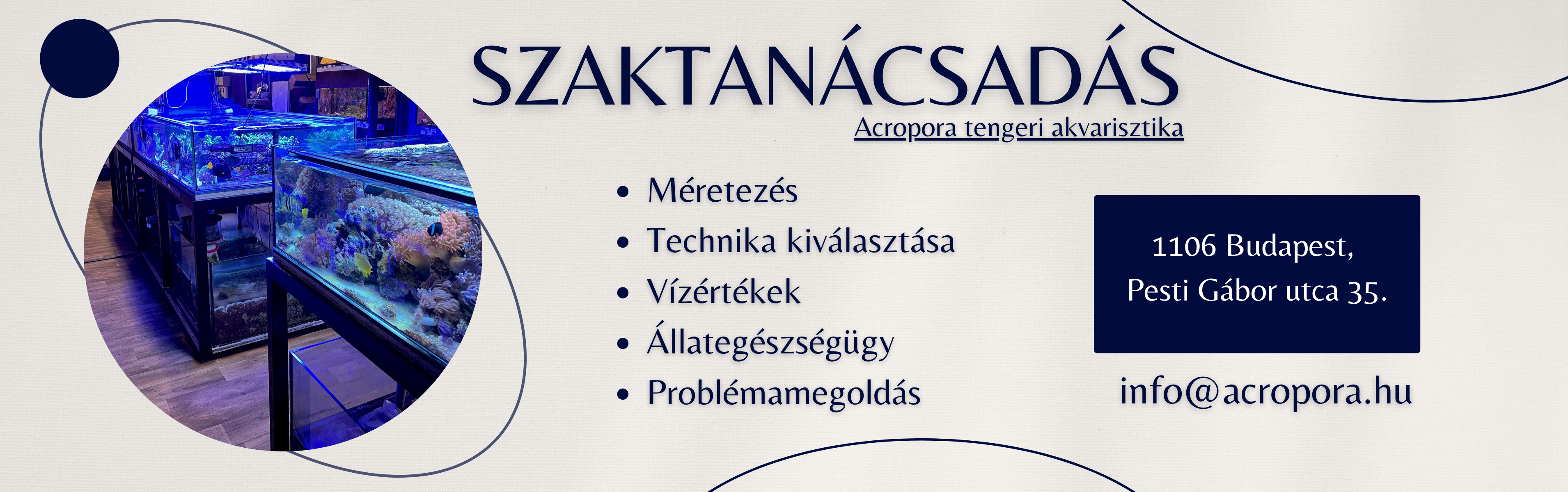Acropora tengeri akvarisztika