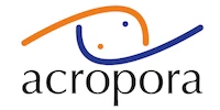 Acropora tengeri akvarisztika