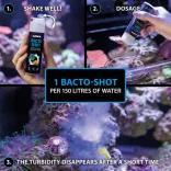 Arka Bacto-Shot 50ml - baktériumkultúra