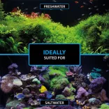 Arka Bacto-Shot 50ml - baktériumkultúra