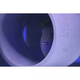 Odonus niger (Fekete íjhal) (M) 