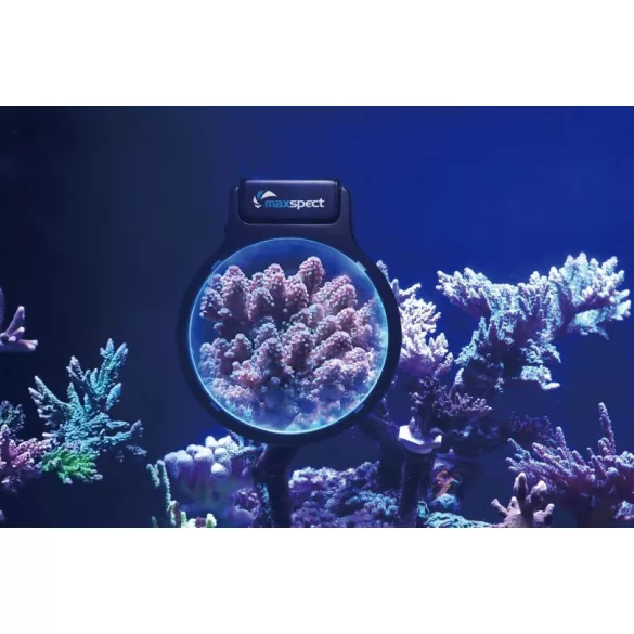 Maxspect Pastel Reef Magnifier M nagyító
