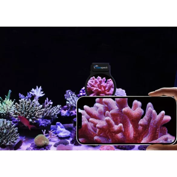Maxspect Pastel Reef Magnifier M nagyító
