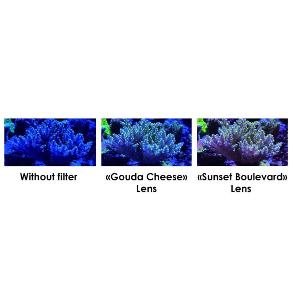 Maxspect Pastel Reef Magnifier Lens M színszűrő