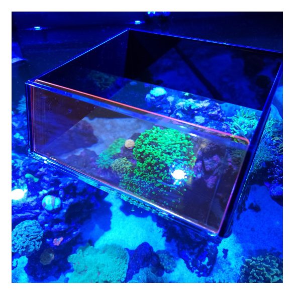 Flipper Top Down Viewer - akváriumbetekintő