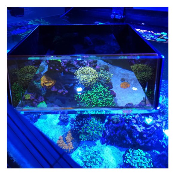 Flipper Top Down Viewer - akváriumbetekintő