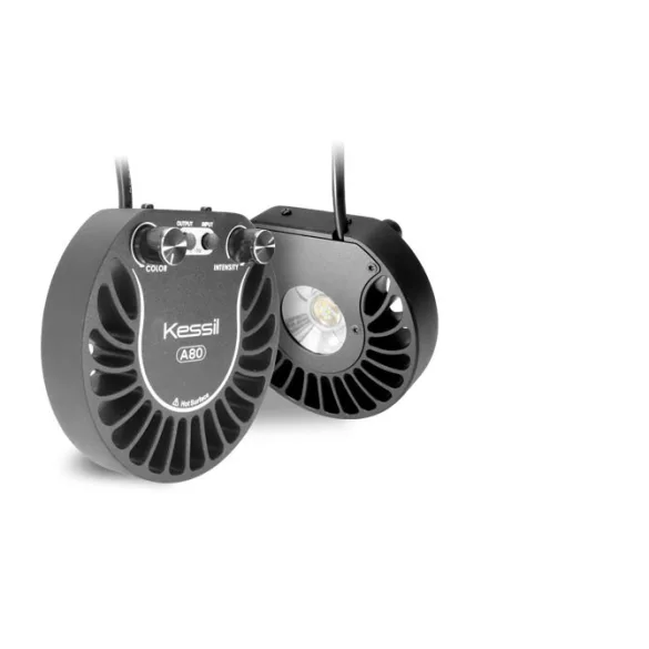 Kessil LED A80 Tuna Blue LED lámpa Mini Gooseneck tartóval (1db van belőle!) - használt, de újszerű