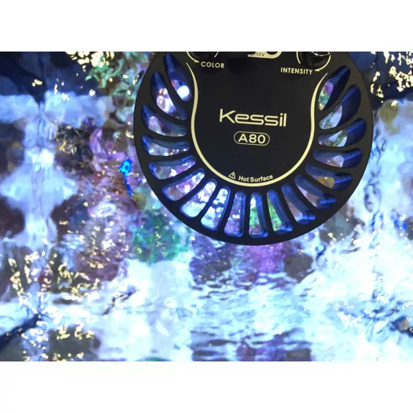 Kessil LED A80 Tuna Blue LED lámpa Mini Gooseneck tartóval (1db van belőle!) - használt, de újszerű