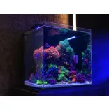 Aquaforest Nano Tank - 90 literes akvárium szett