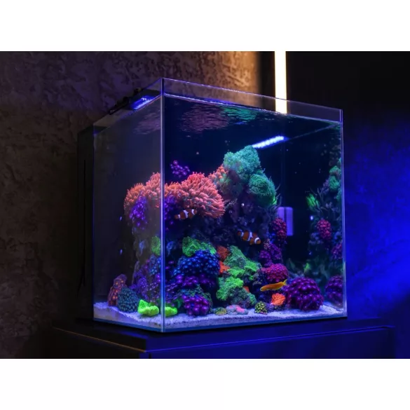 Aquaforest Nano Tank - 90 literes akvárium szett