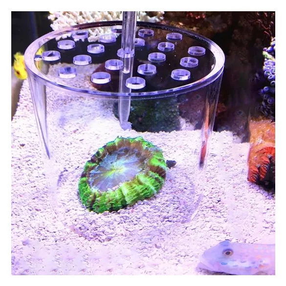 Koralletető pohár - Ø 12cm