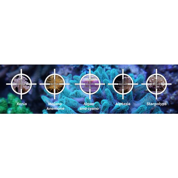 ITC Reef Delete - UV-C Pest Control Light - kártevőírtó lámpa