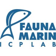 Fauna Marin
