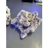 Acropora szárazkő  (élőkőből) akváriumi szirtépítéshez /kg 