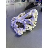 Acropora szárazkő  (élőkőből) akváriumi szirtépítéshez /kg 